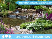 Vijver tips