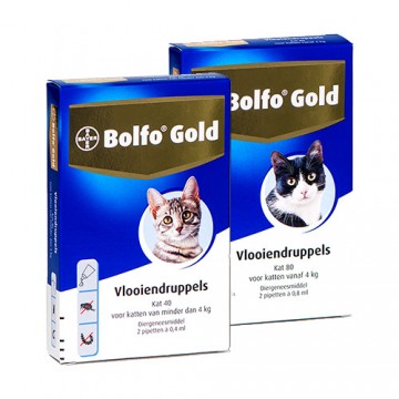 Bolfogoldkat40 80