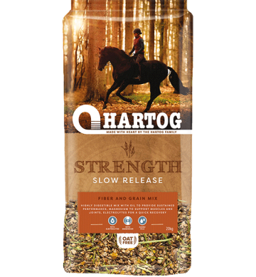 Hartogstrength