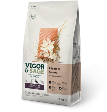 Lilly root cat vigor en sage