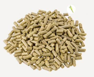 Schermafbeelding 2023 01 12 om 111011