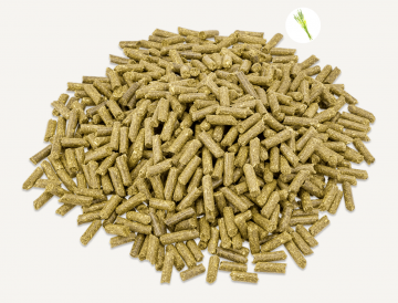 Schermafbeelding 2023 01 12 om 111819