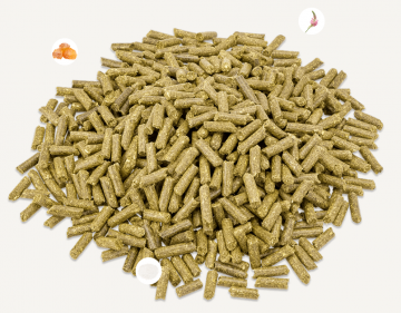 Schermafbeelding 2023 01 12 om 112252