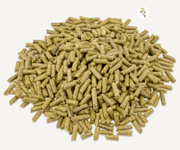 Schermafbeelding 2023 01 12 om 112834