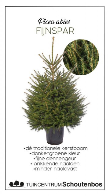 Story3kerstbomenweek47 copy