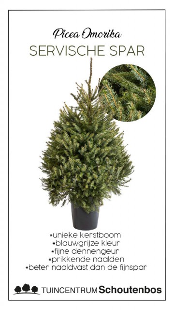 Story4kerstbomenweek47 copy