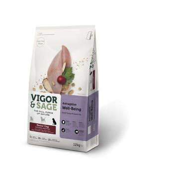 Vigor astragalus