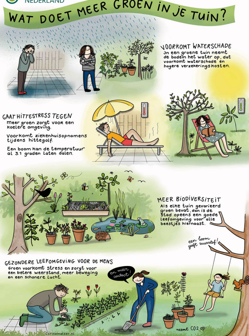 strip groen tuin nuttig