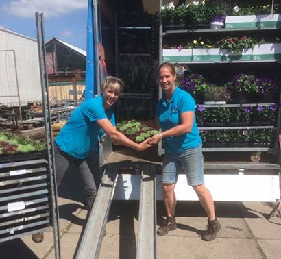 planten bestellen veiling beurs