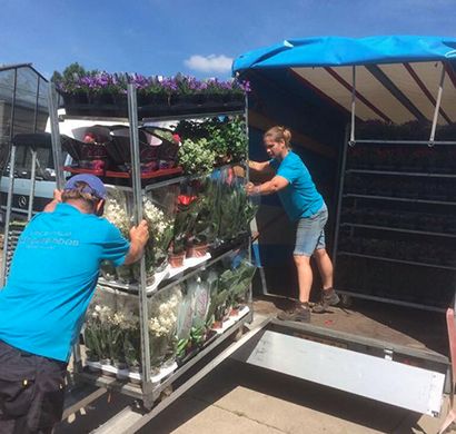 vers veiling beurs planten