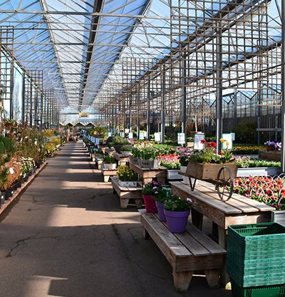 winkel tuinplanten