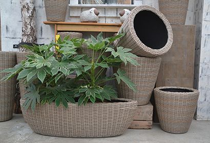 wicker pot