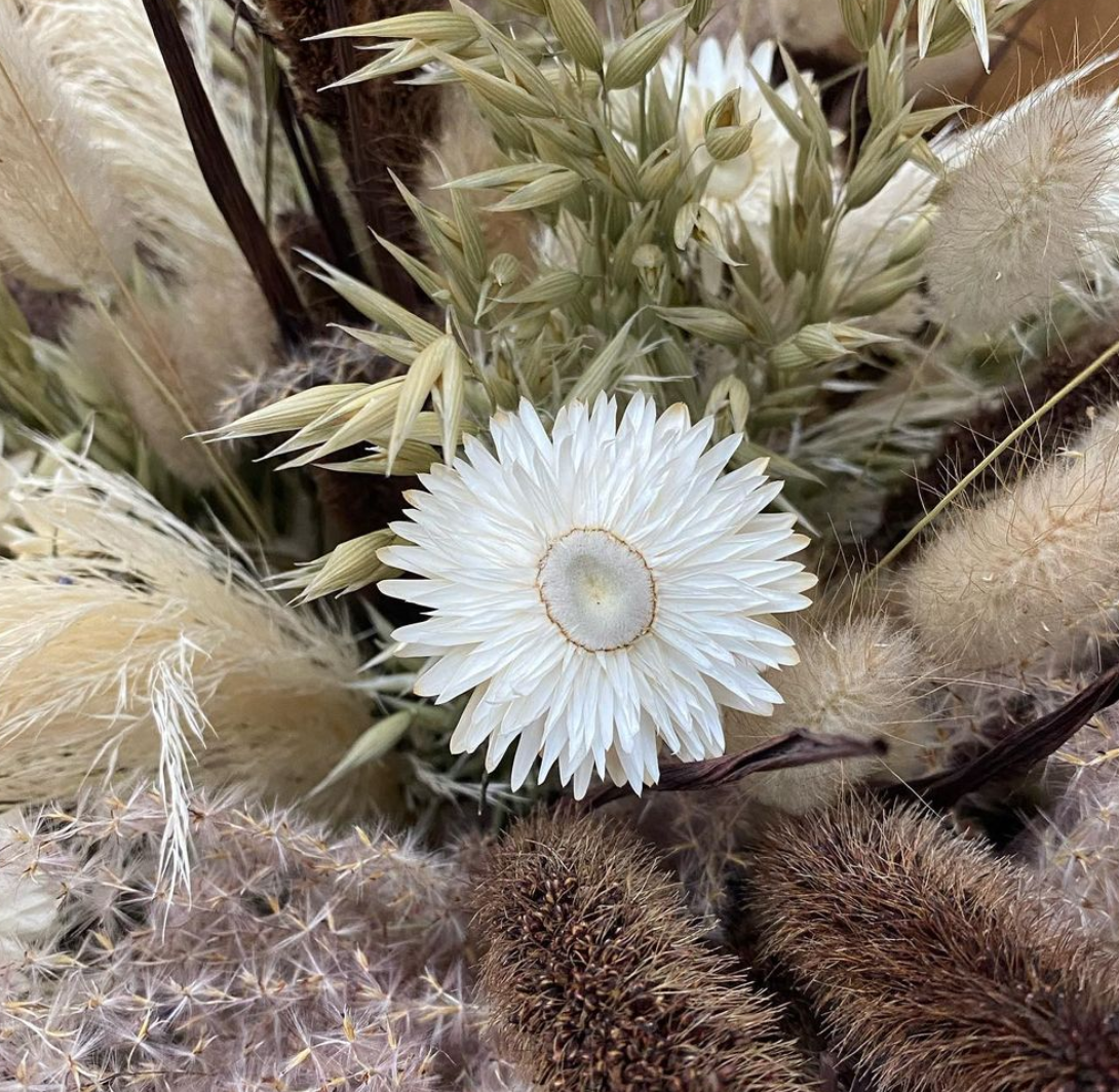 natuurlijke gedroogde bloemen