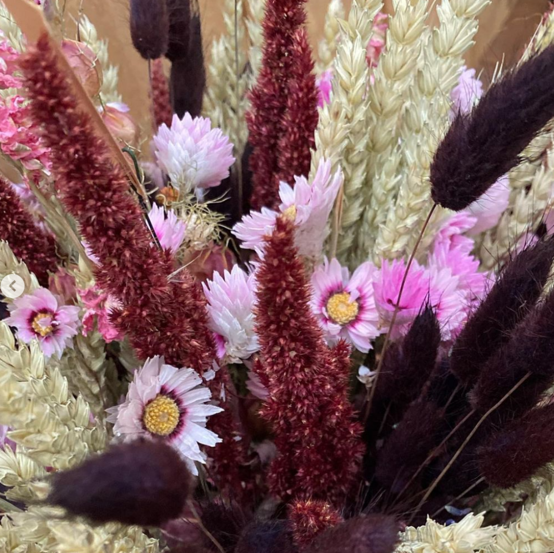 Droogbloemen bos schoorl bergen groet