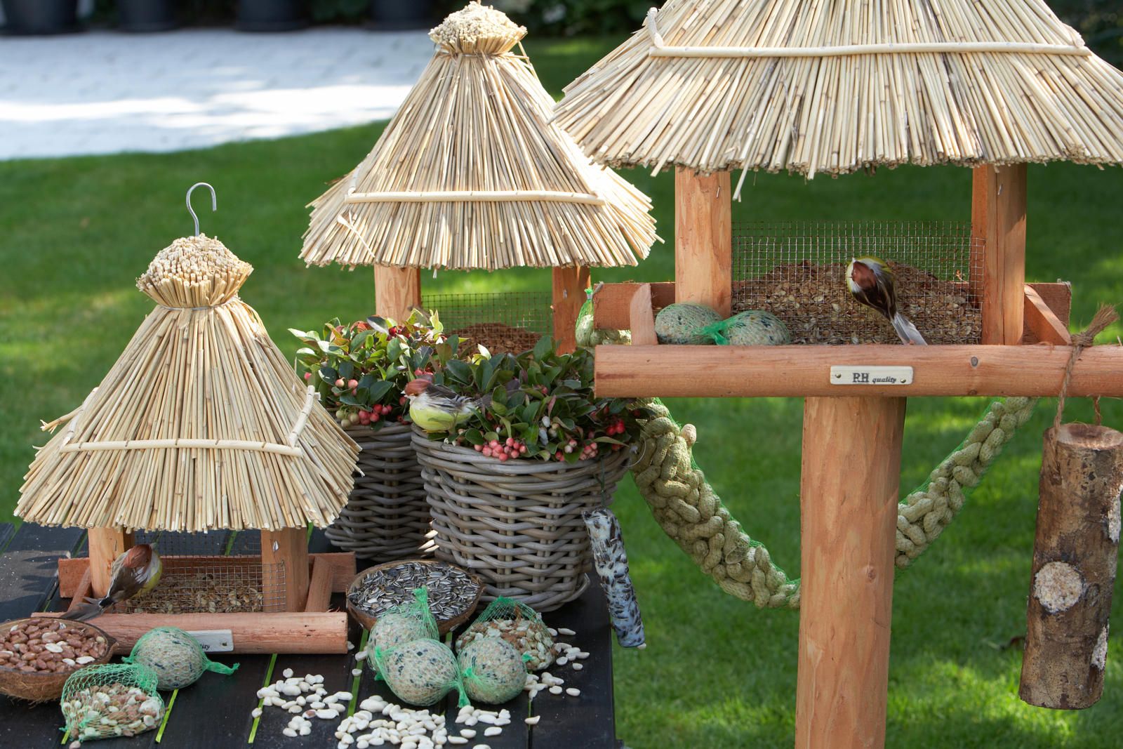 vogelhuisje vogelstandaards warmenhuizen schoorl