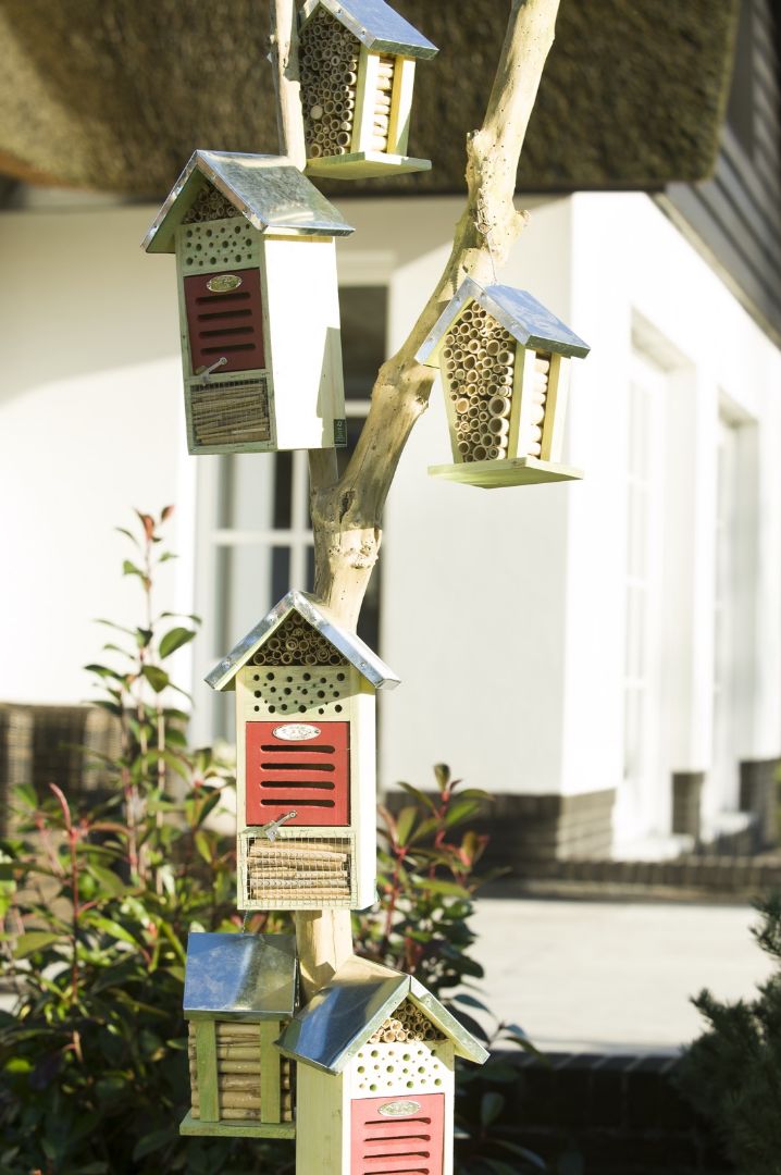 insecten huisjes bijen en vlinders