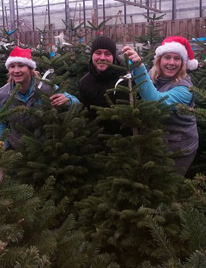 kerstbomen kwaliteit