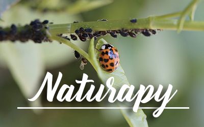 naturapy biologisch dcm