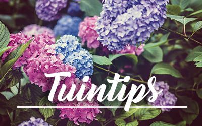 tuintips