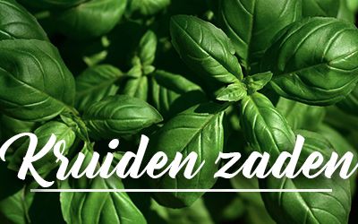 kruiden zaden