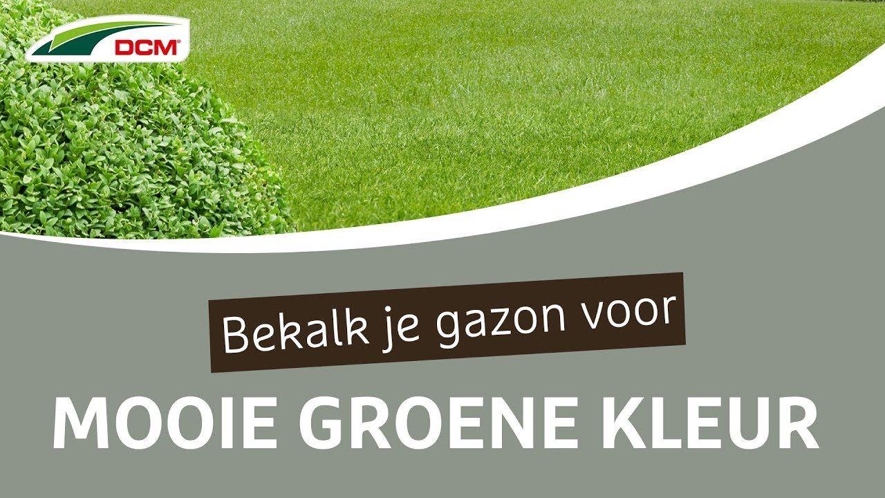 groen gras dcm kalk