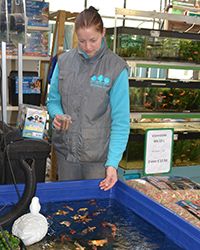 foto rianne van veen