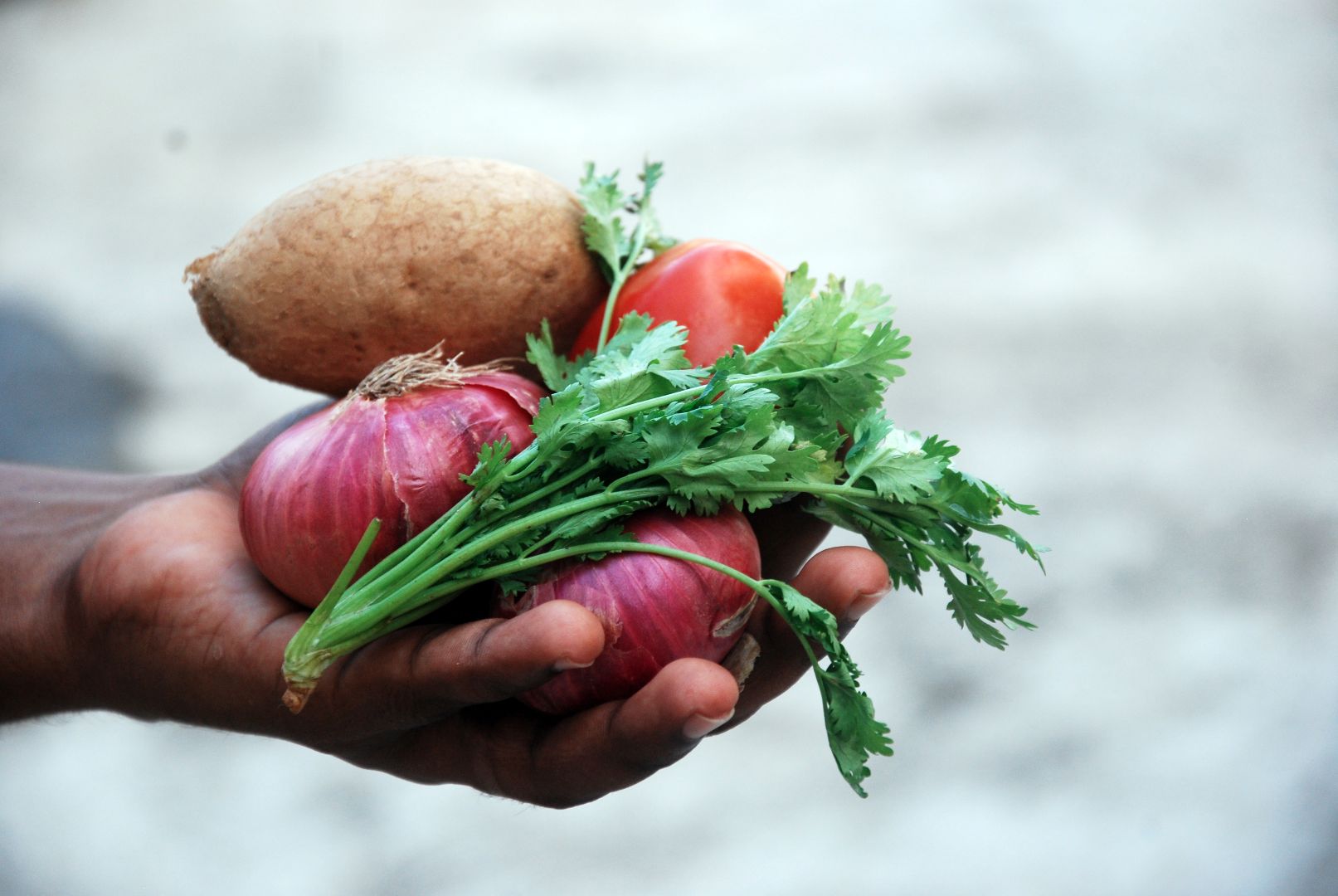 moestuin zeewier kalk