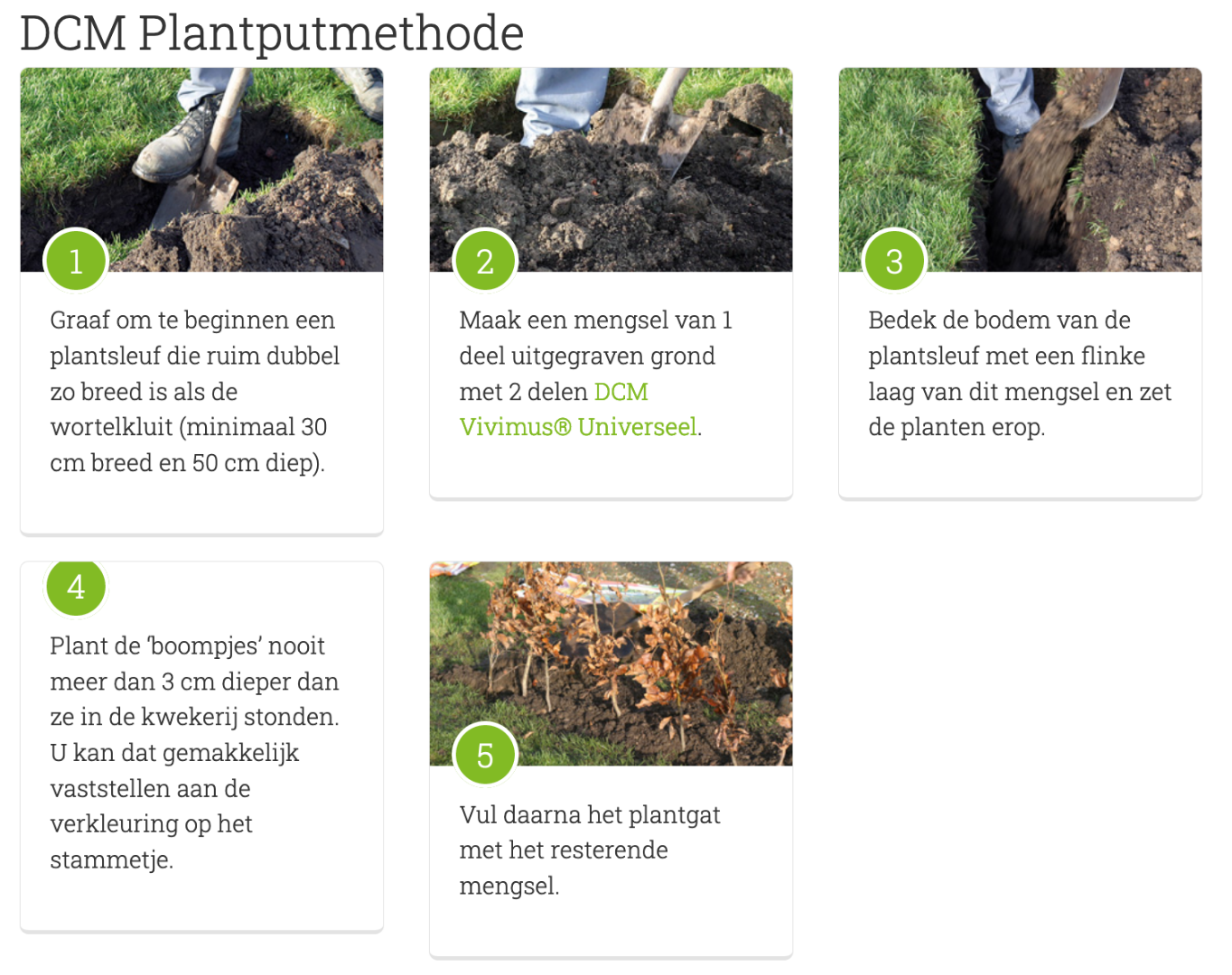 Vivimus planten aanplanten