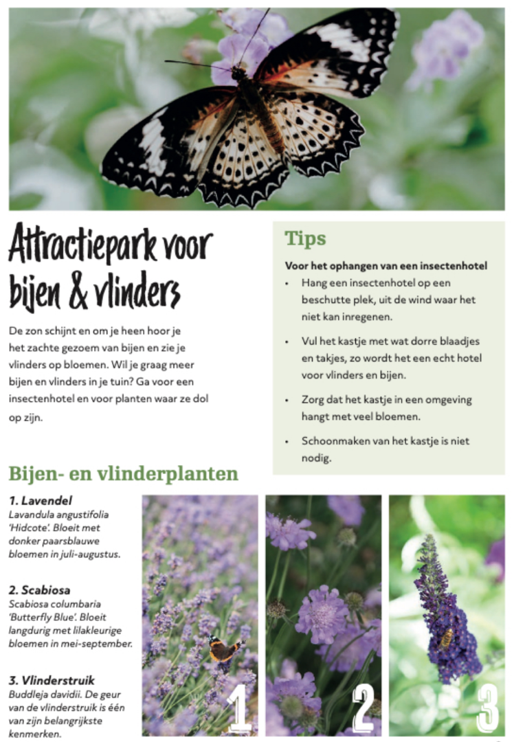 Vlinder tuin maken