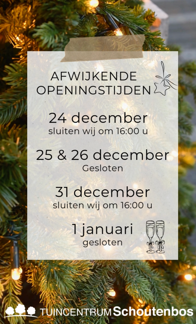 Alternatieve openingstijden kerstopeningstijden