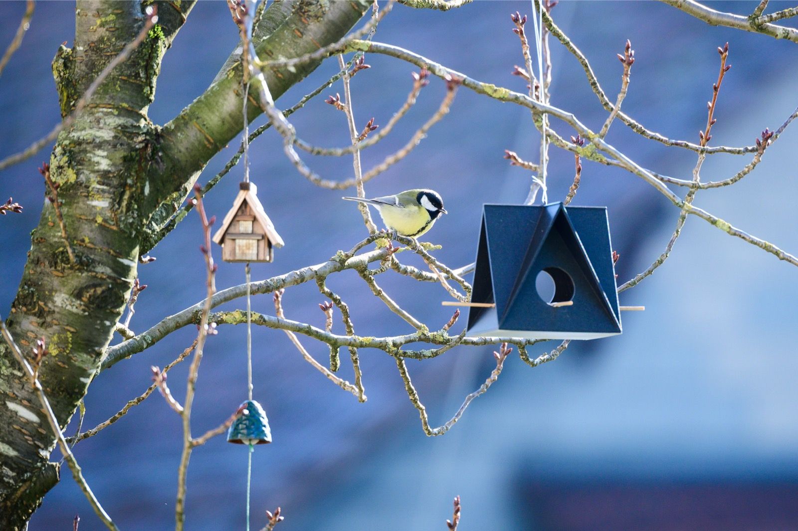 vogel voer vogelvoer