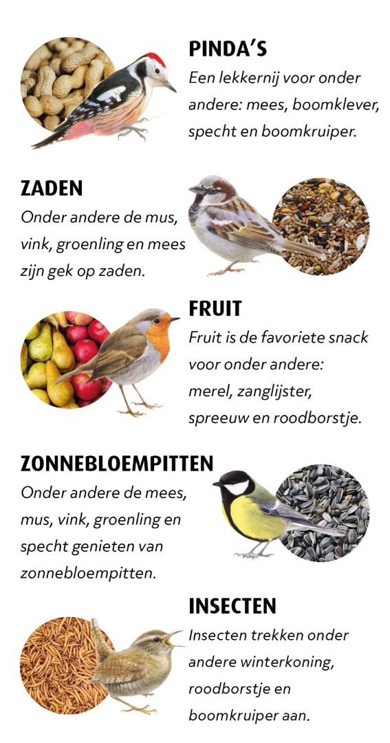 Vogelzaden vogelpinda's warmenhuizen