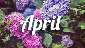 tuintips april