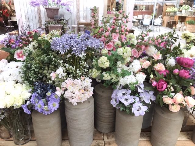 zijdbloemen warmenhuizen schoorl bergen langedijk